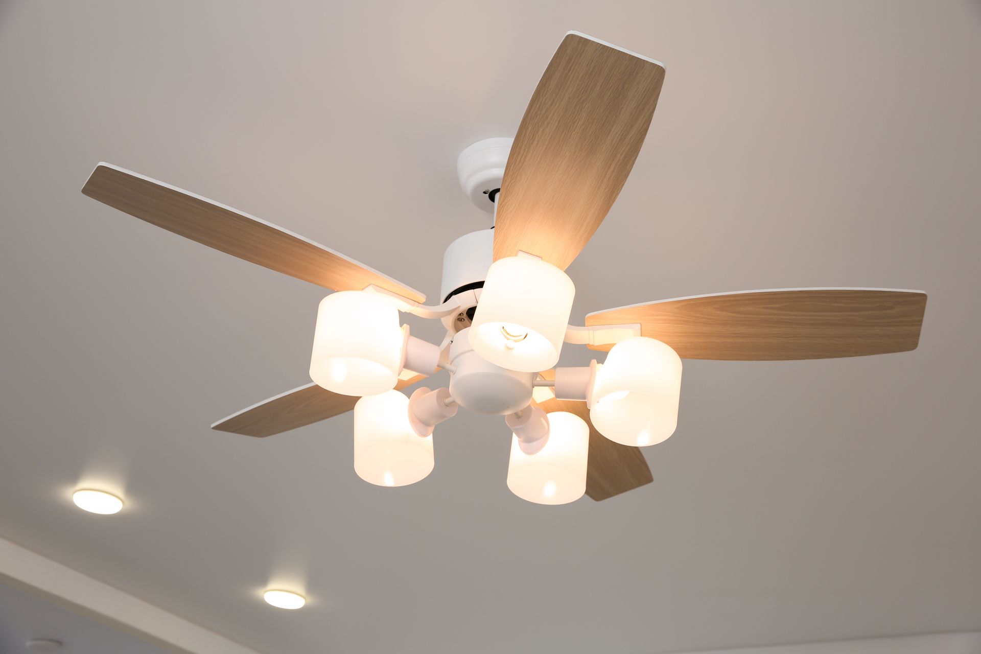 BTM Electrical & Air electrician installing a ceiling fan in a Gold Coast home